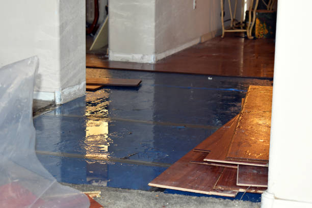 Professional Burst Pipe Cleanup technician working in Athens, IL